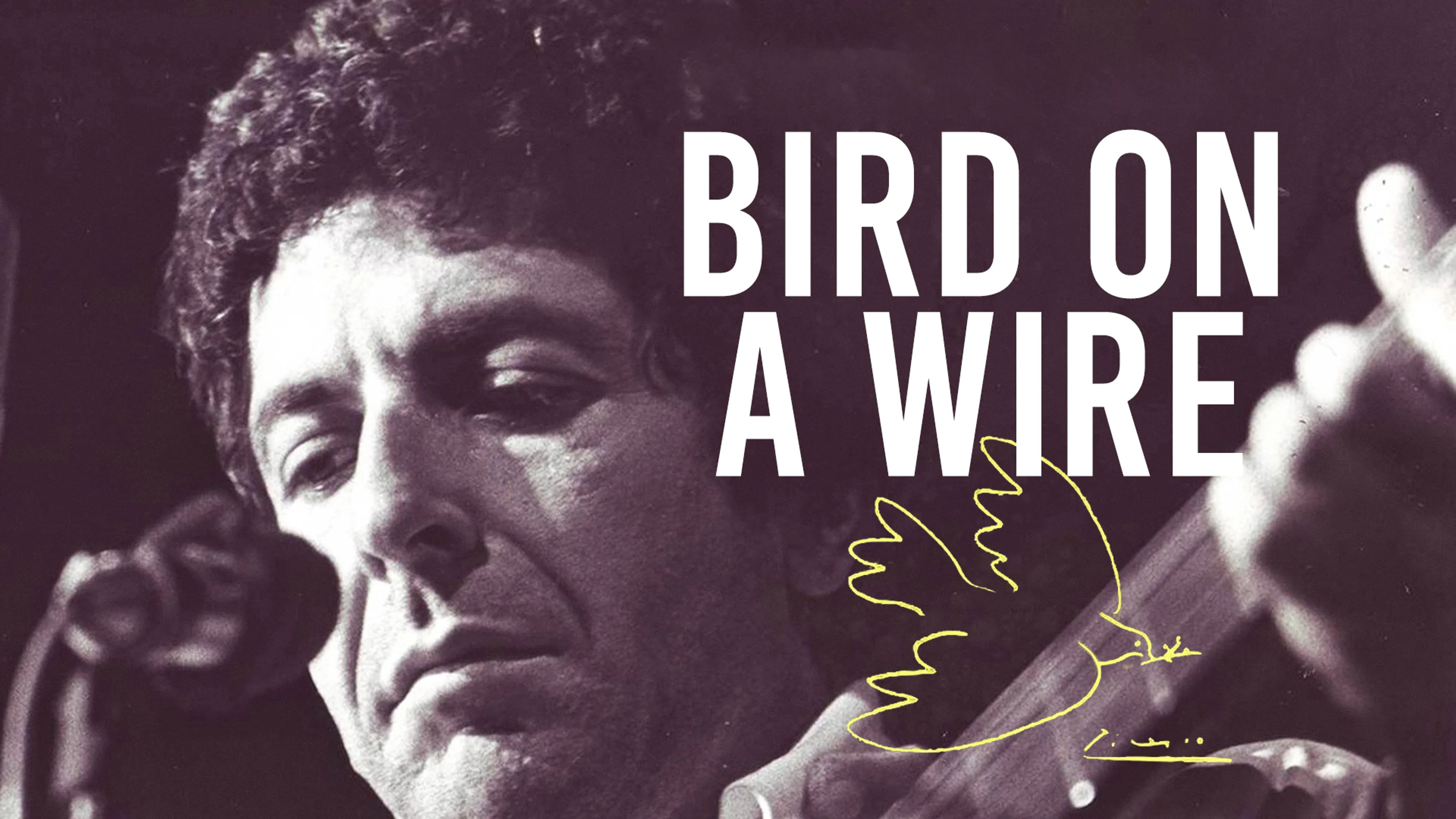 Bird on a Wire poster